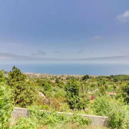 Chona Y Francisco Santa Cruz de Tenerife