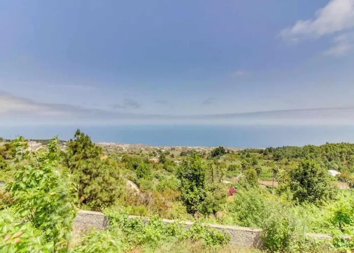 Chona Y Francisco Santa Cruz de Tenerife